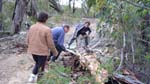 13-Carman & Joe help Laurie move a fallen tree