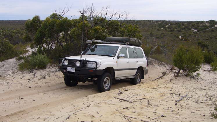 19-Bundy climbs a border track dune