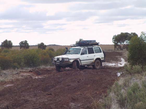 02-Nudgee in Wyperfeld NP