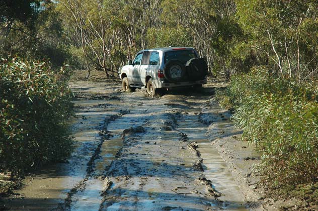 20-Burra swims along the Border Track