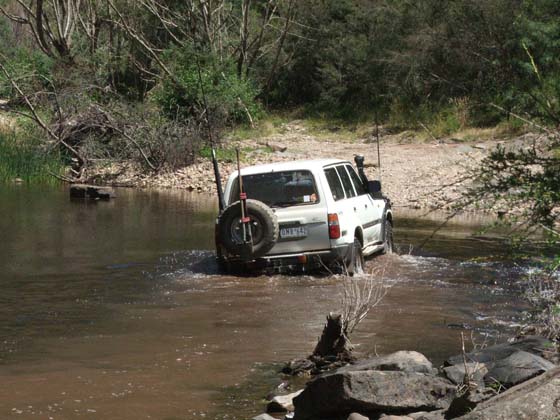 02-Zebra crosses Macalister River