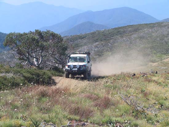 07-Big John on Mt Pinnibar