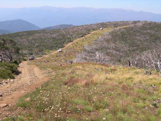 11-Convoy on way to Pinnibar with Kosciusko on the horizon