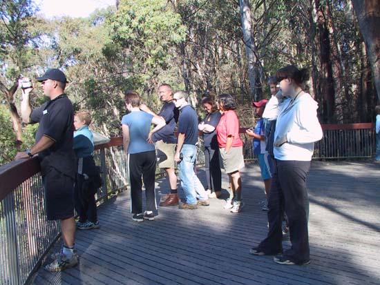 13-Views of Kosciusko NP from Scammells Lookout