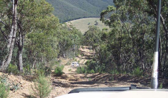 25-Descending McKenzie Track